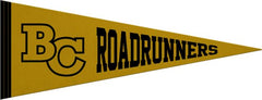 Butte College 9X24 Full Color Pennant
