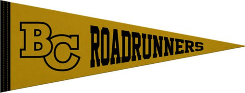 Butte College 9X24 Full Color Pennant