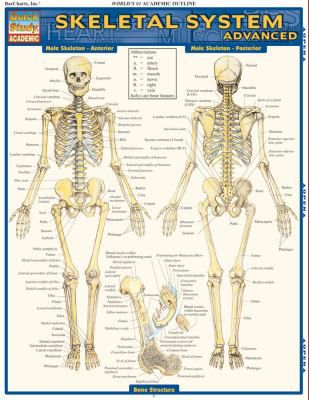SKELETAL SYSTEM ADVANCED